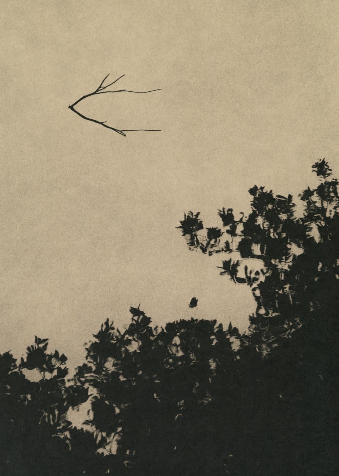 Dominic Turner, Valediction