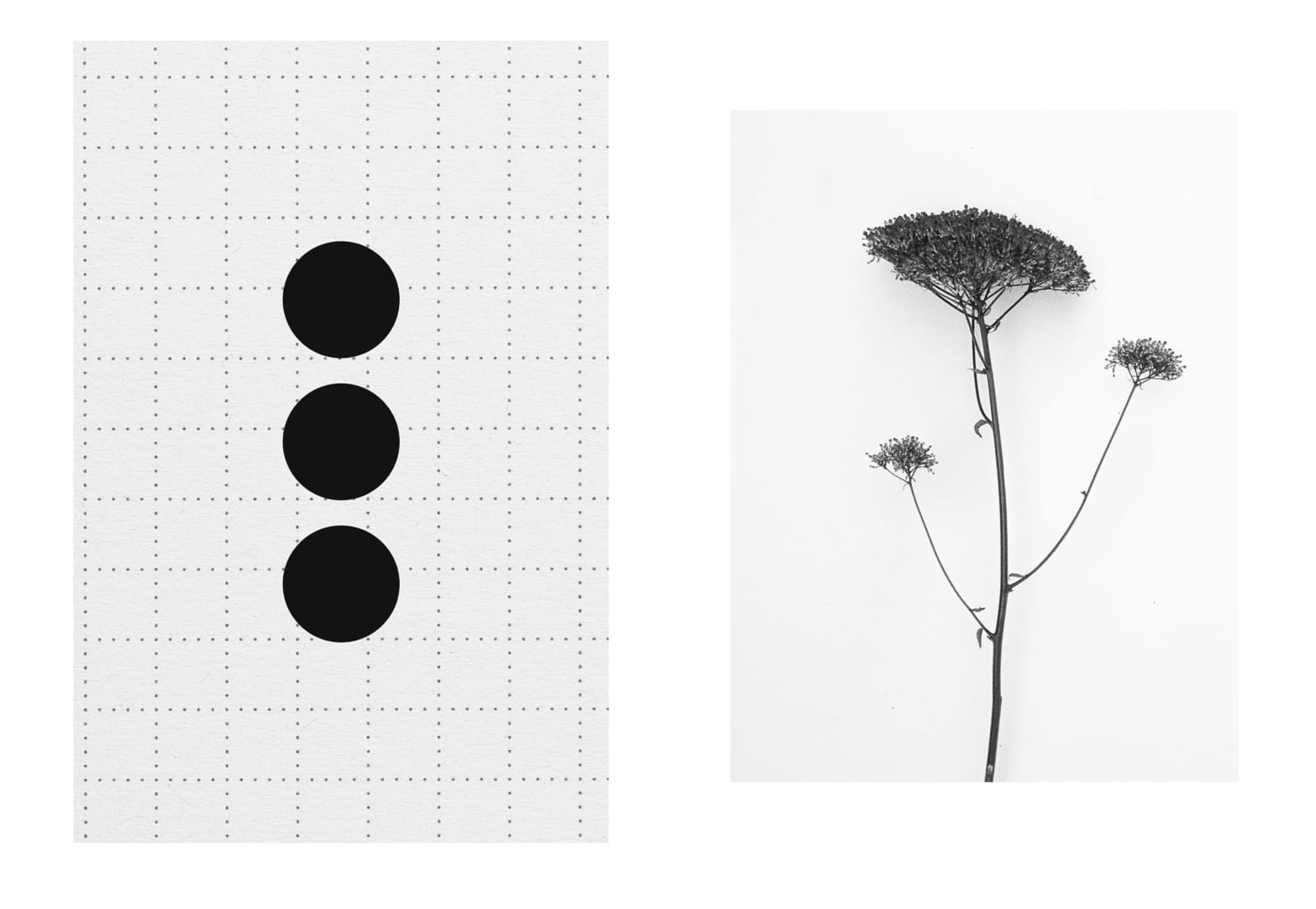 Eimearjean McCormack, Survey Series VII (47), 2025