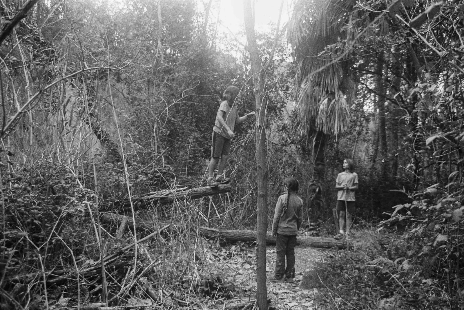 Berta Mars, Untitled