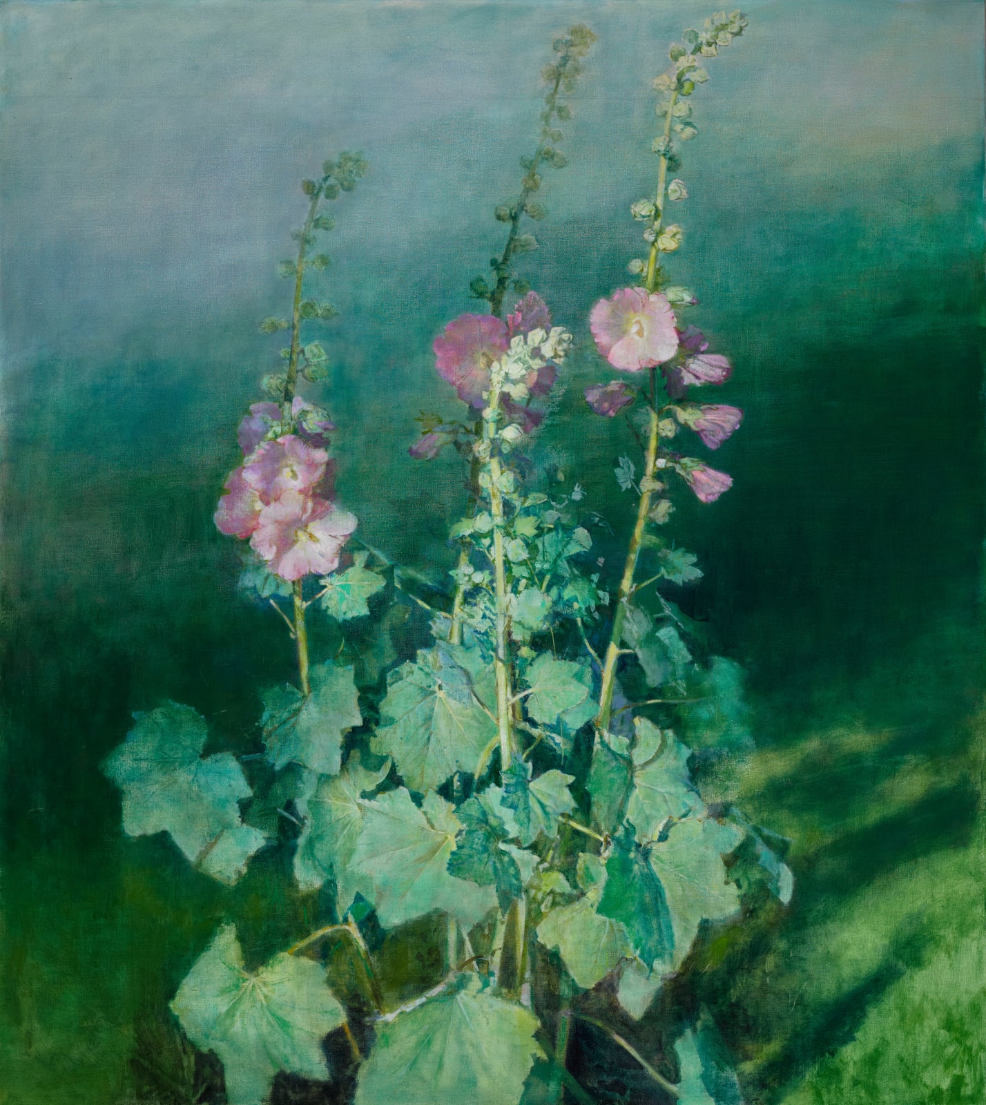 Maeve McCarthy RHA, Rose Trémière