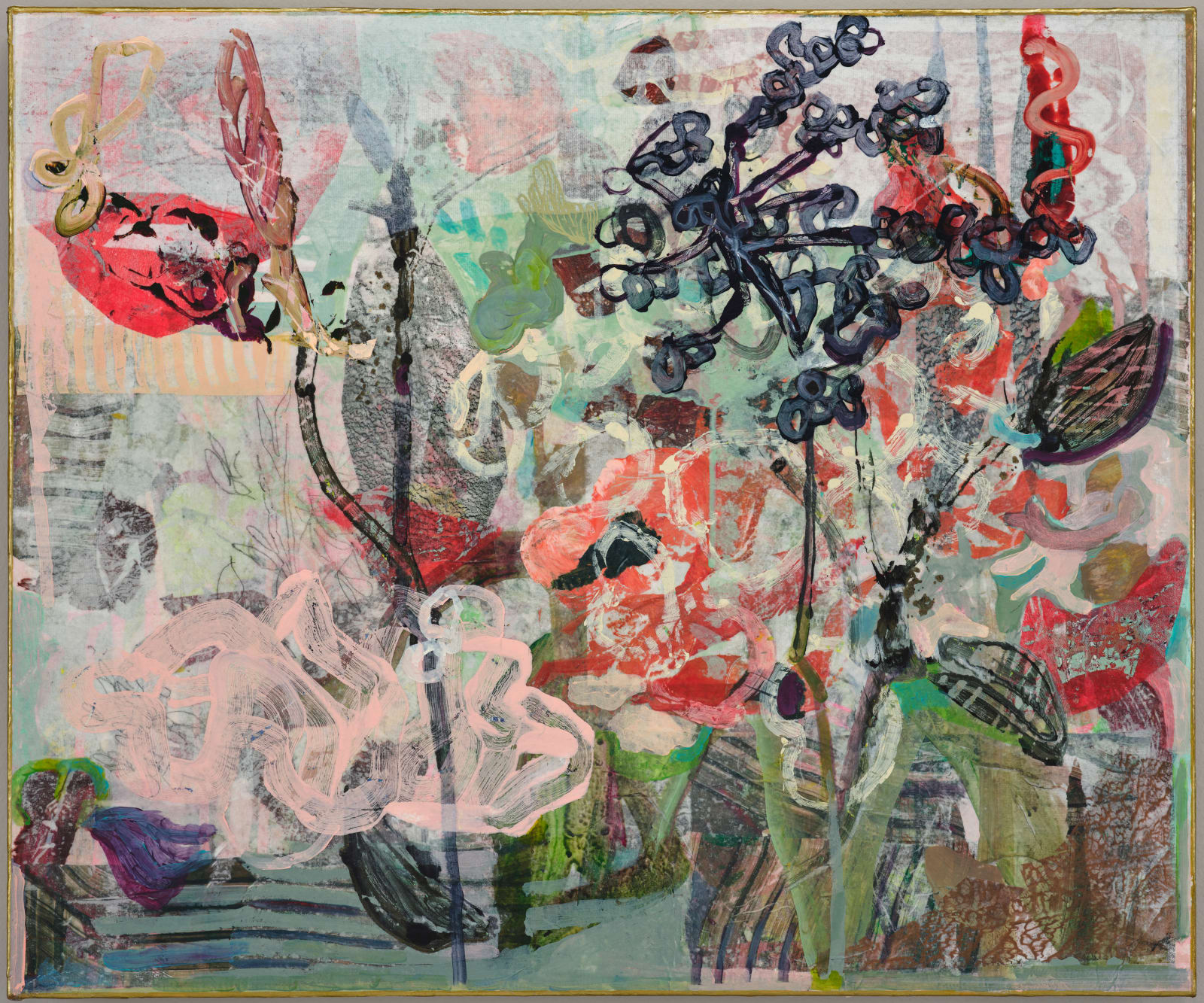 Frances Ryan, Exotica