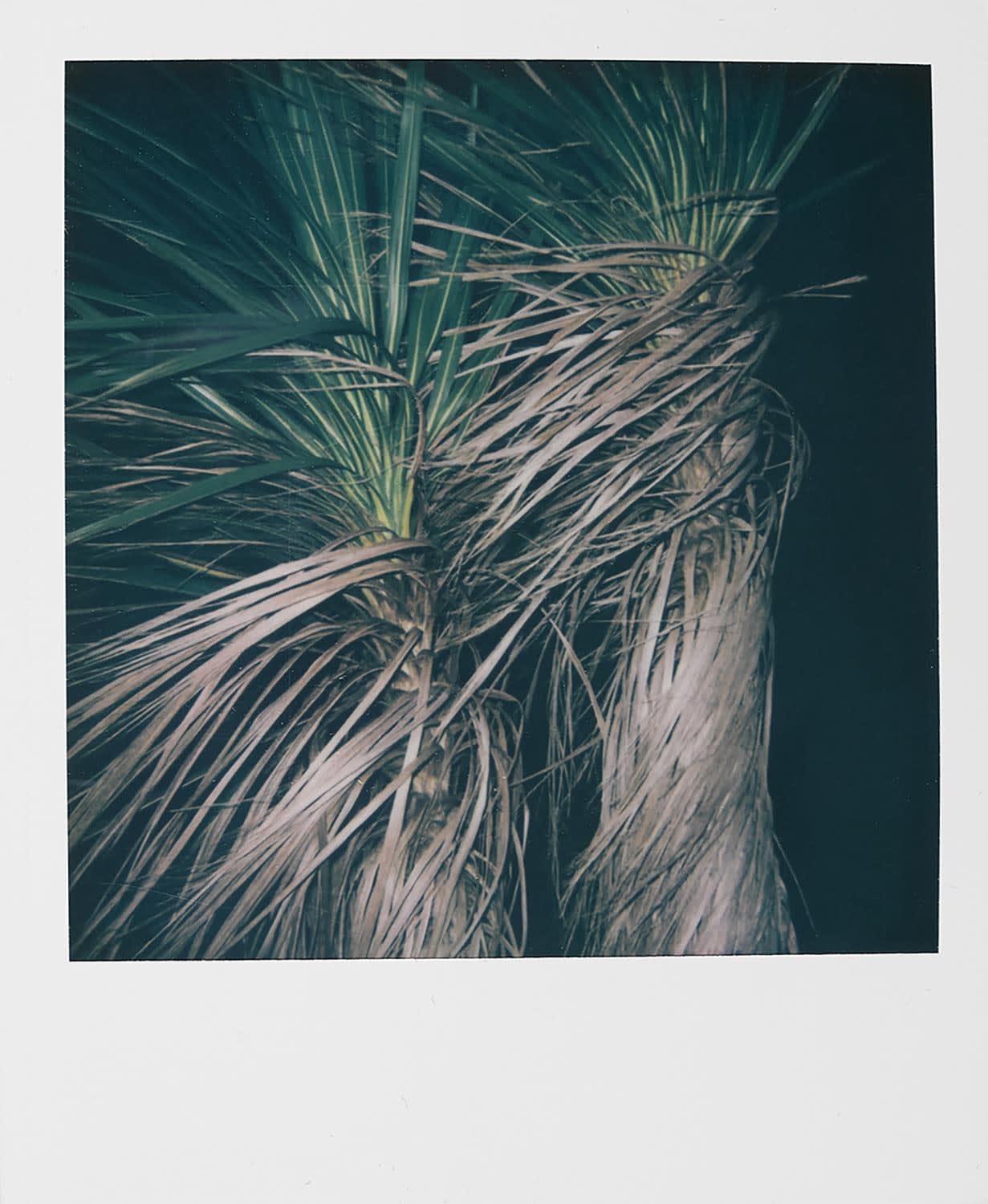 Maeve O'Neill, Grattan Beach