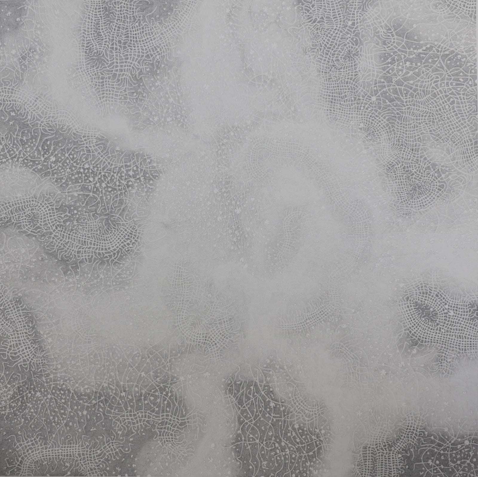 Michael Geddis, Microplastic Shroud II