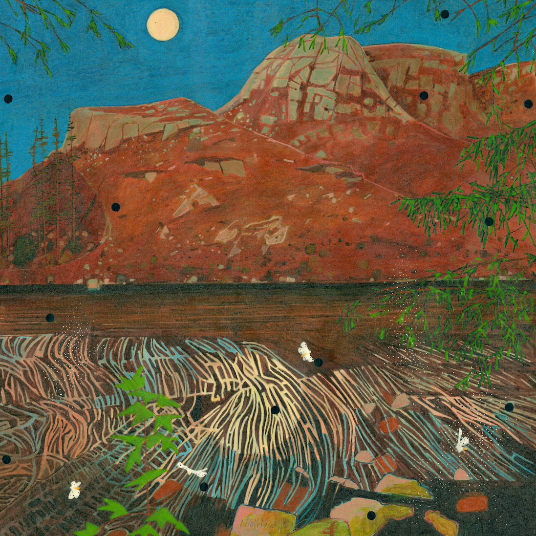 Niall Naessens, Full Moon with Moths and Midges, 2025