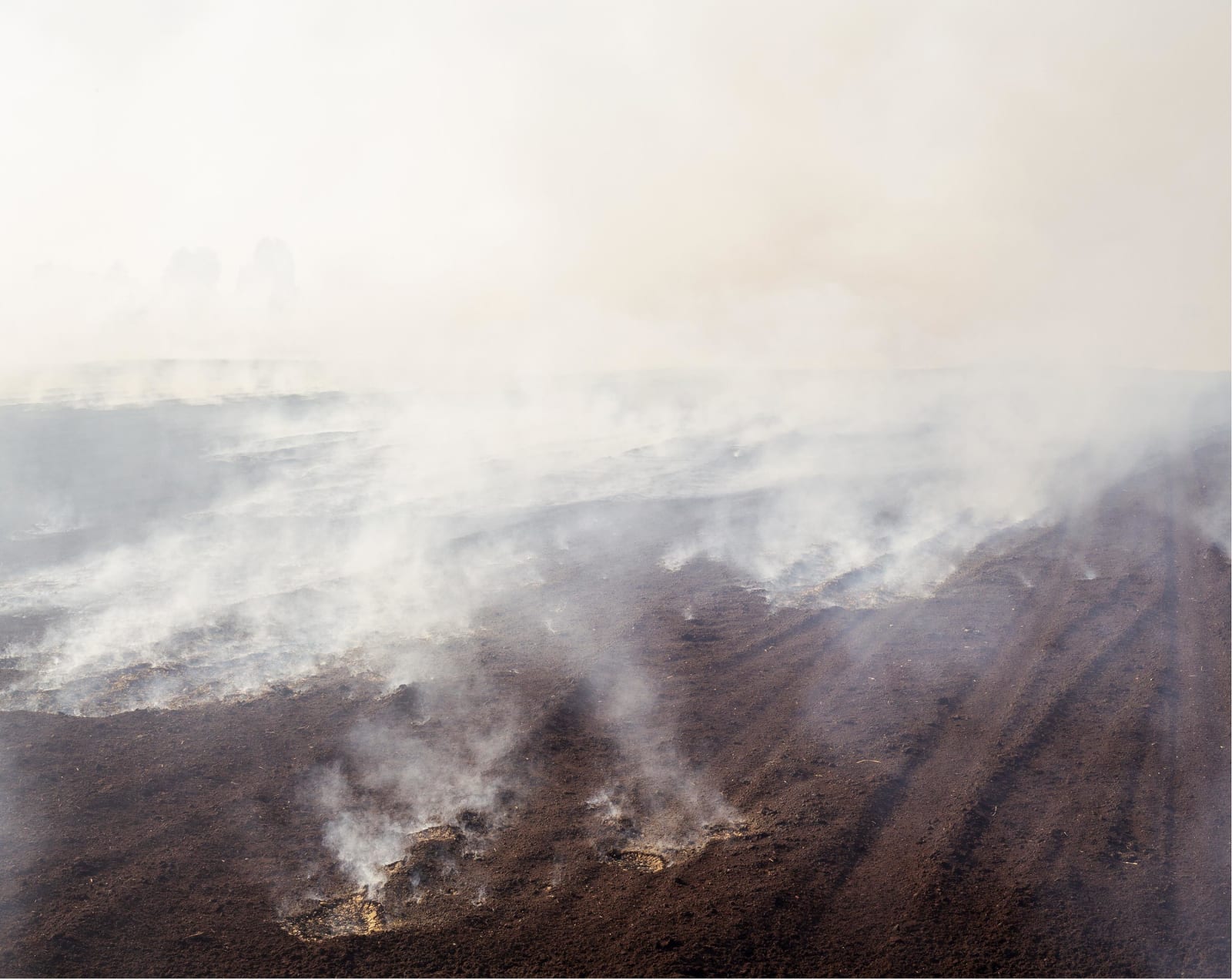Shane Hynan, Smoke from bog fire #2, from the miniseries 'Bealtaine' within 'Beneath | Beofhód' (2018-2024), 2020