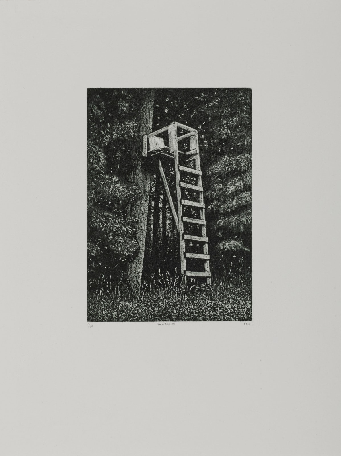 Siobhán Cox, Shelter 6