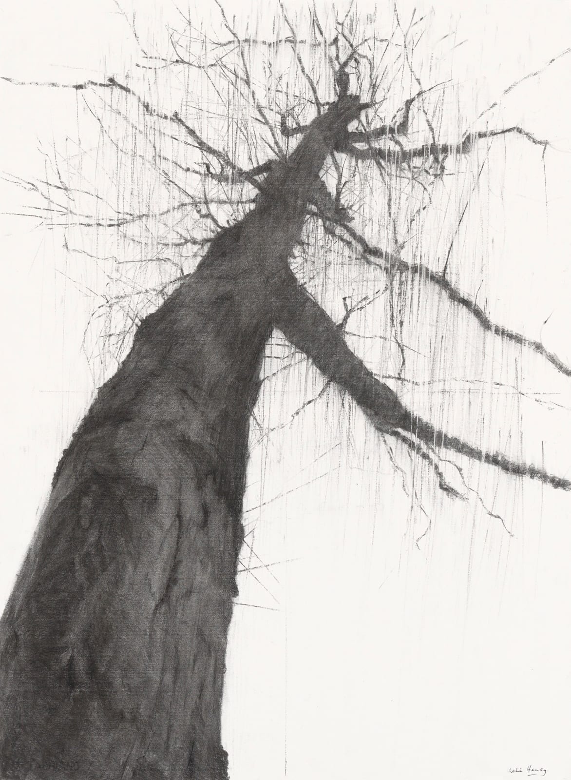 Lelia Henry, Fuamnach, 2024