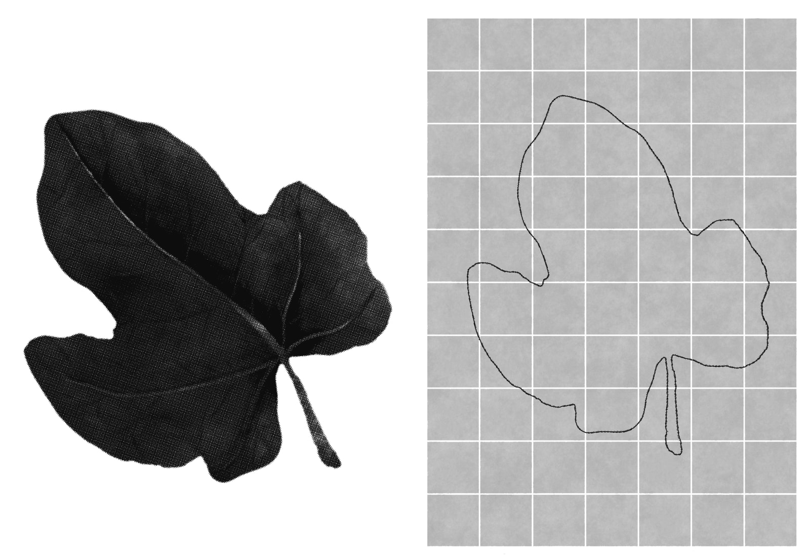 Eimearjean McCormack, Survey Series VII (39), 2025