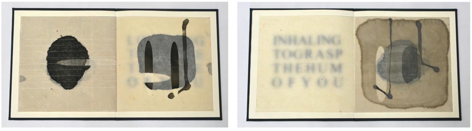 Sioban Piercy, Small Restive Object (Book One)