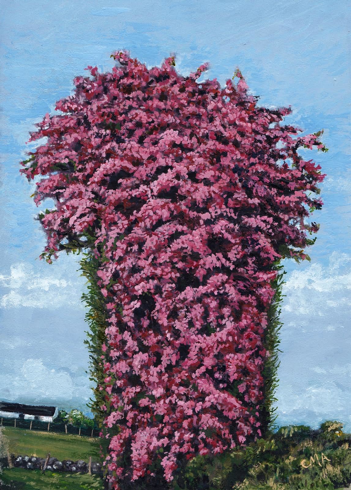 Catherine Patrickson, Primavera