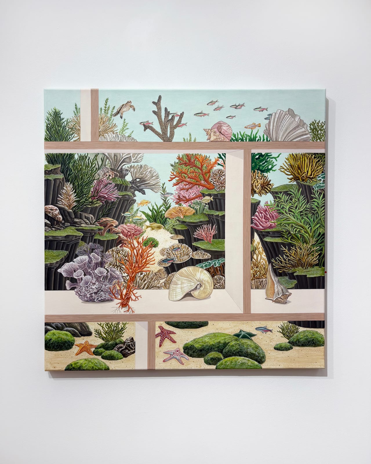 Jihye Park, Where the Stars Sleep, 2026