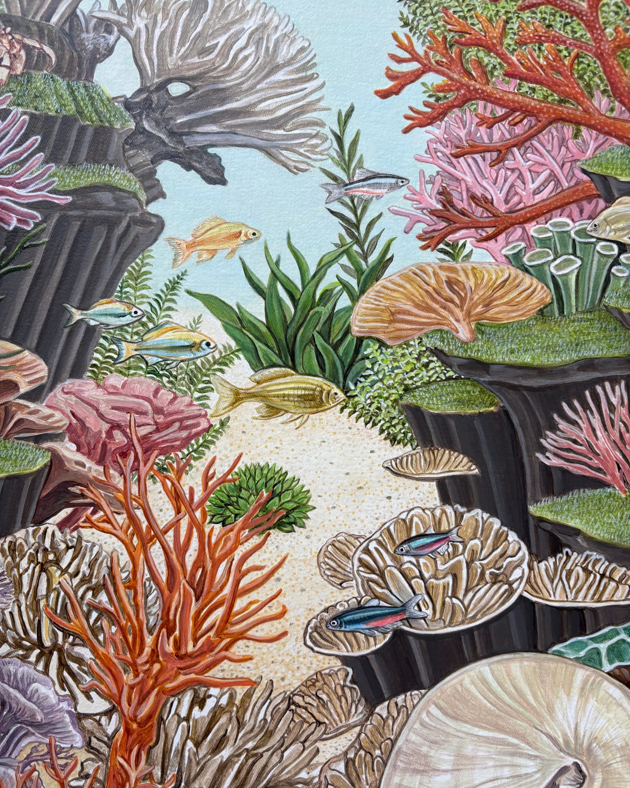 Jihye Park, Where the Stars Sleep, 2026