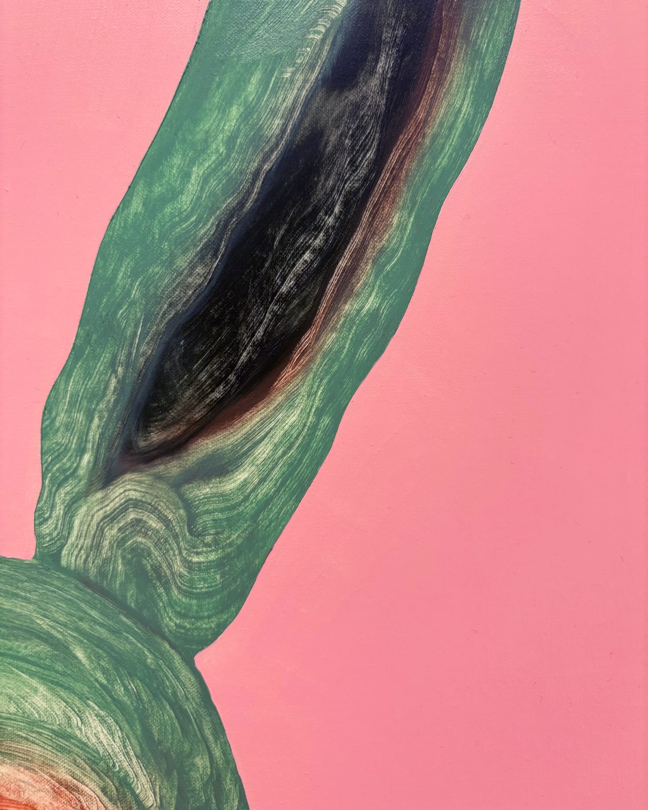 Stewart Swan, Coney Island, 2025