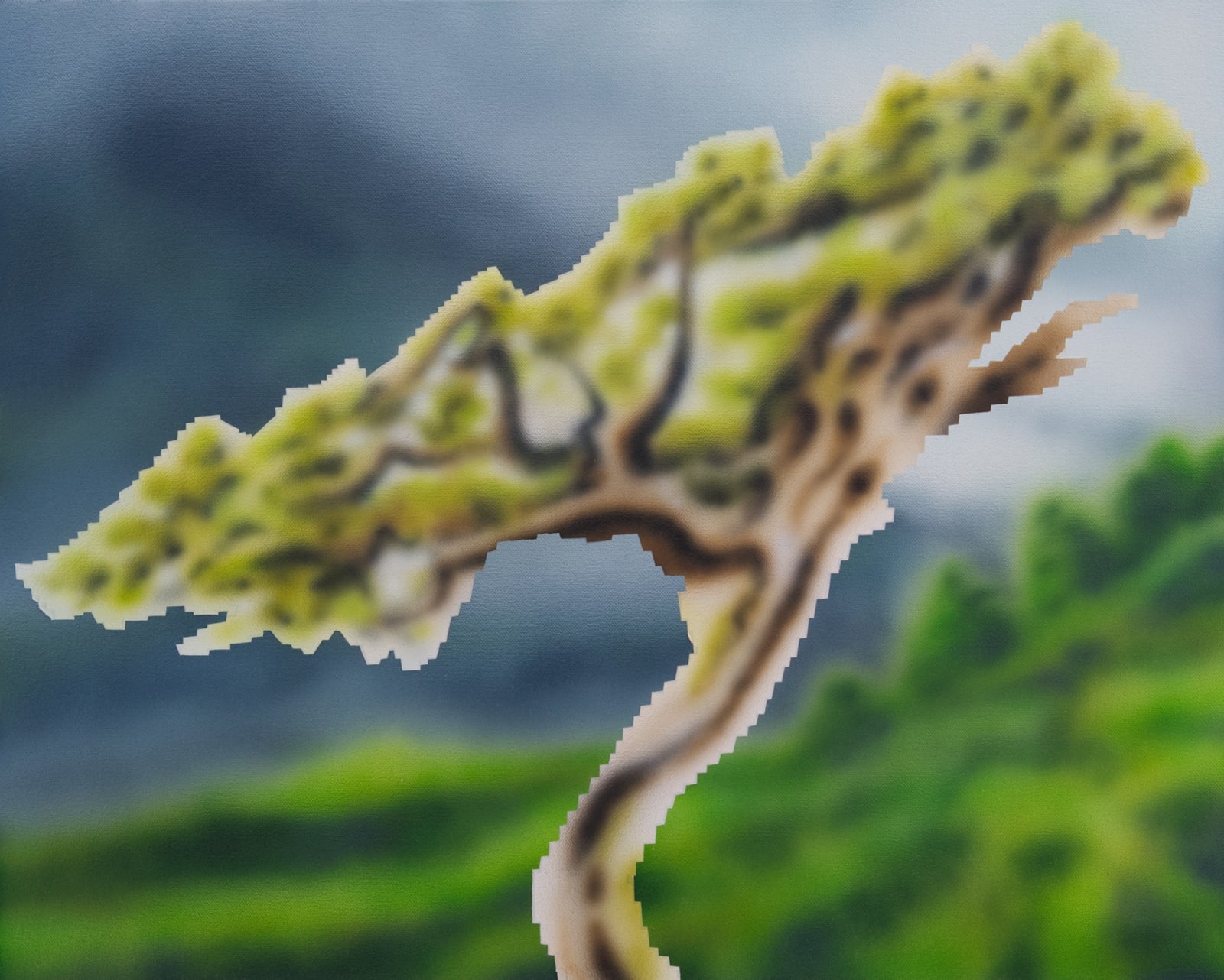 Gavin Lynch, Windswept, 2025