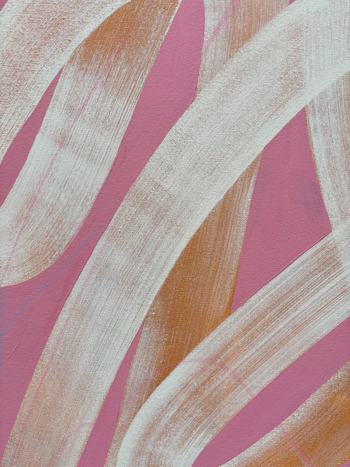 Cat Spilman, Witness the Fitness, 2024