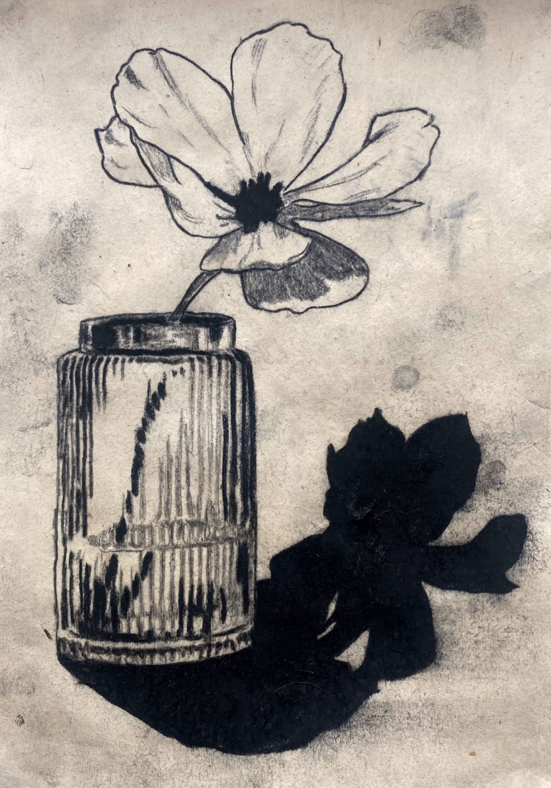 Benjamin Murphy, Urbacodon, 2023