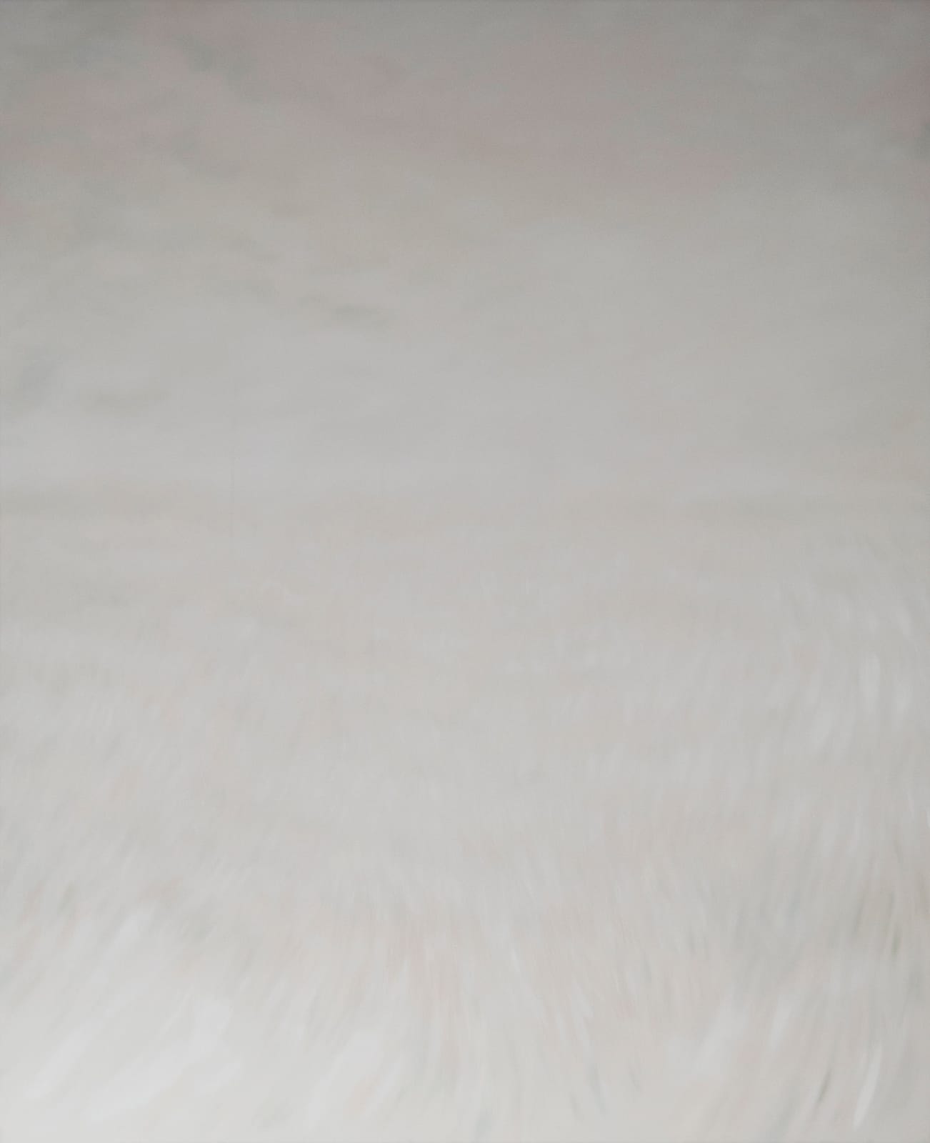 Lukrezia Krämer, Der geheime Garten, 2021