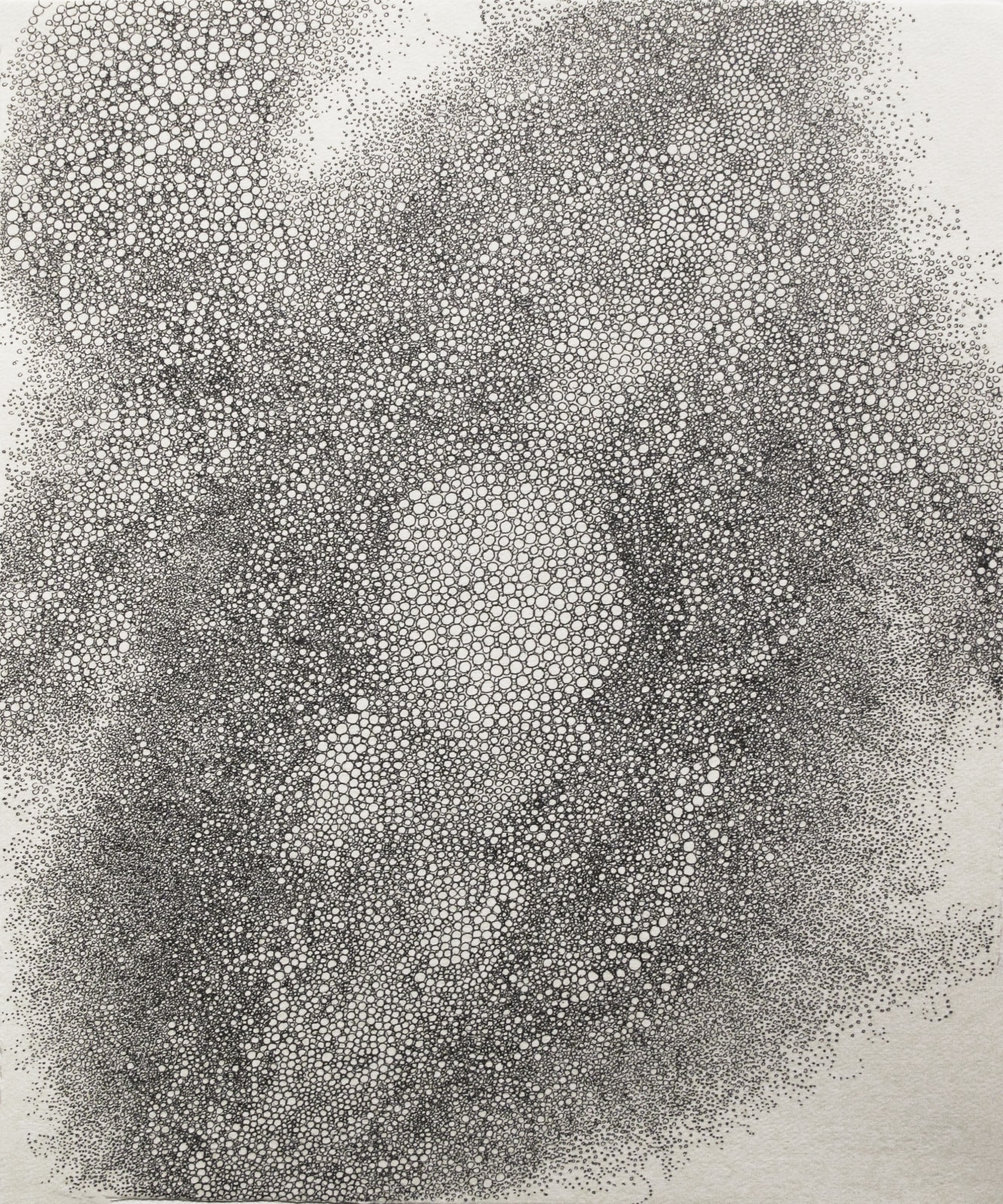 Many tiny black circles of varying sizes making up an amorphous shape.