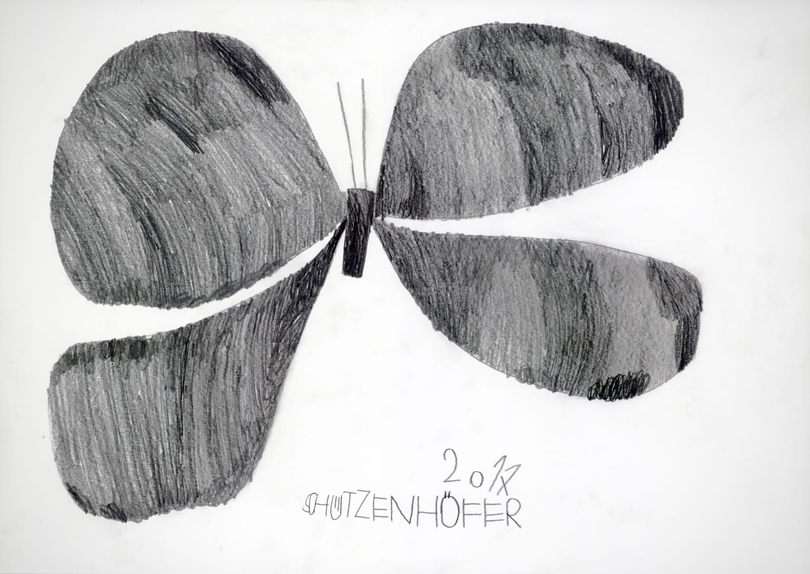 Günther Schützenhöfer, Butterfly, 2017