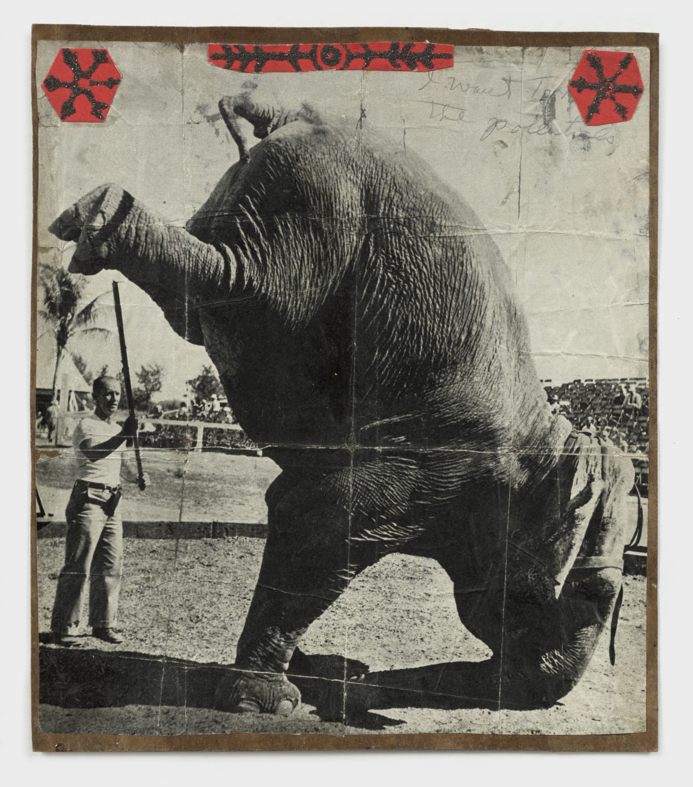 Black and white photo of an elephant doing a handstand and a man holding a stick.