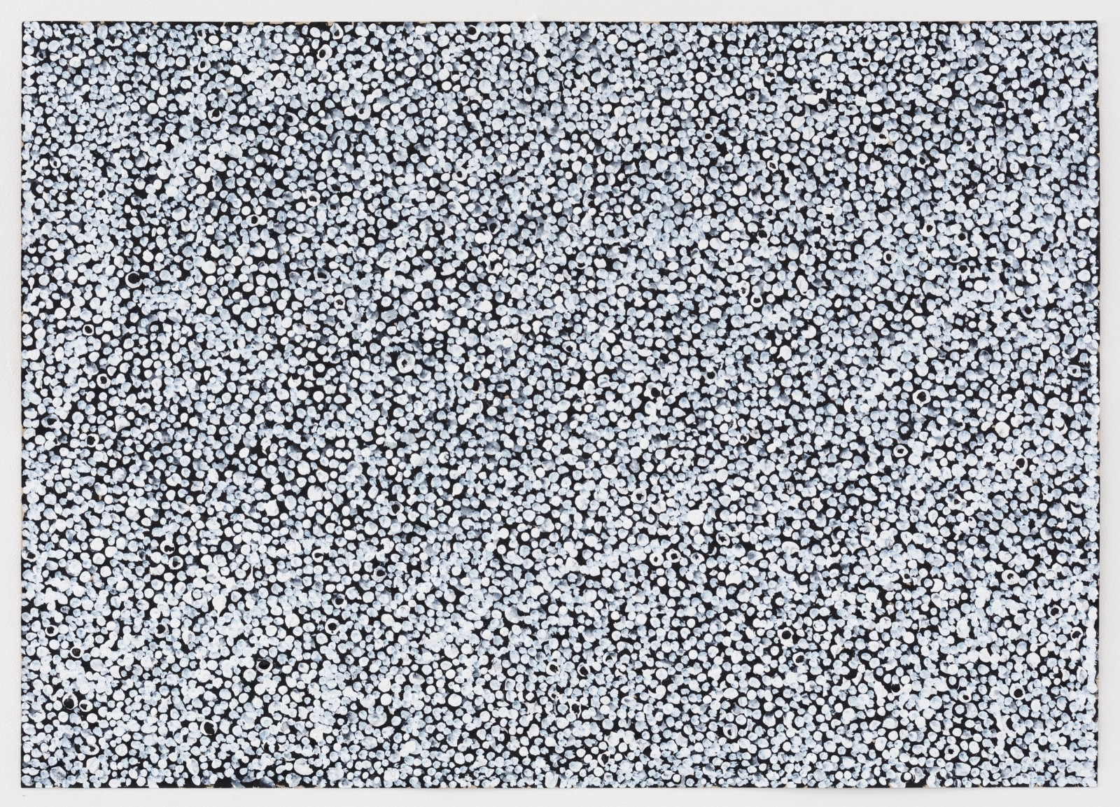 Numerous tiny connected white spots on a black background with a white border