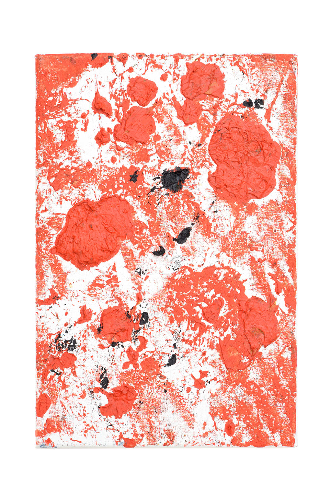 Alison Weld, Champlain Song 12, 2019