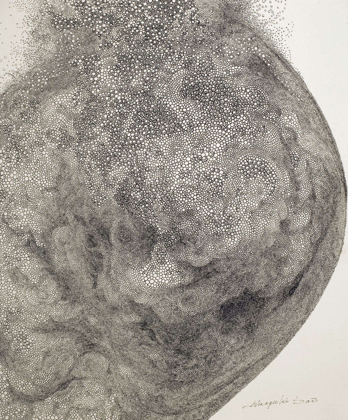 A massive amount of tiny black circles of varying sizes, making up a large amorphous shape with a rounded side.