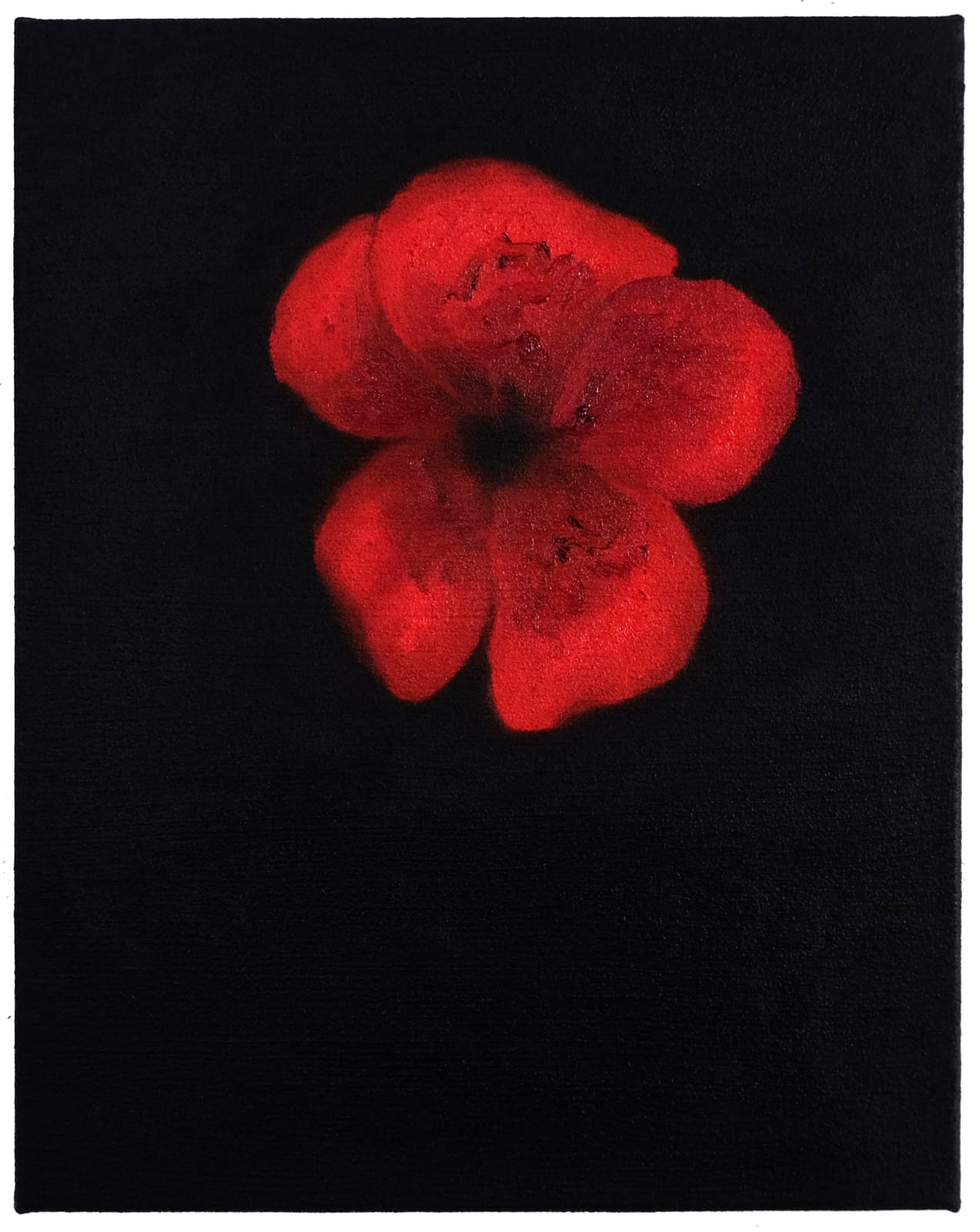 Richard Höglund, Rrose XVIII, 2023