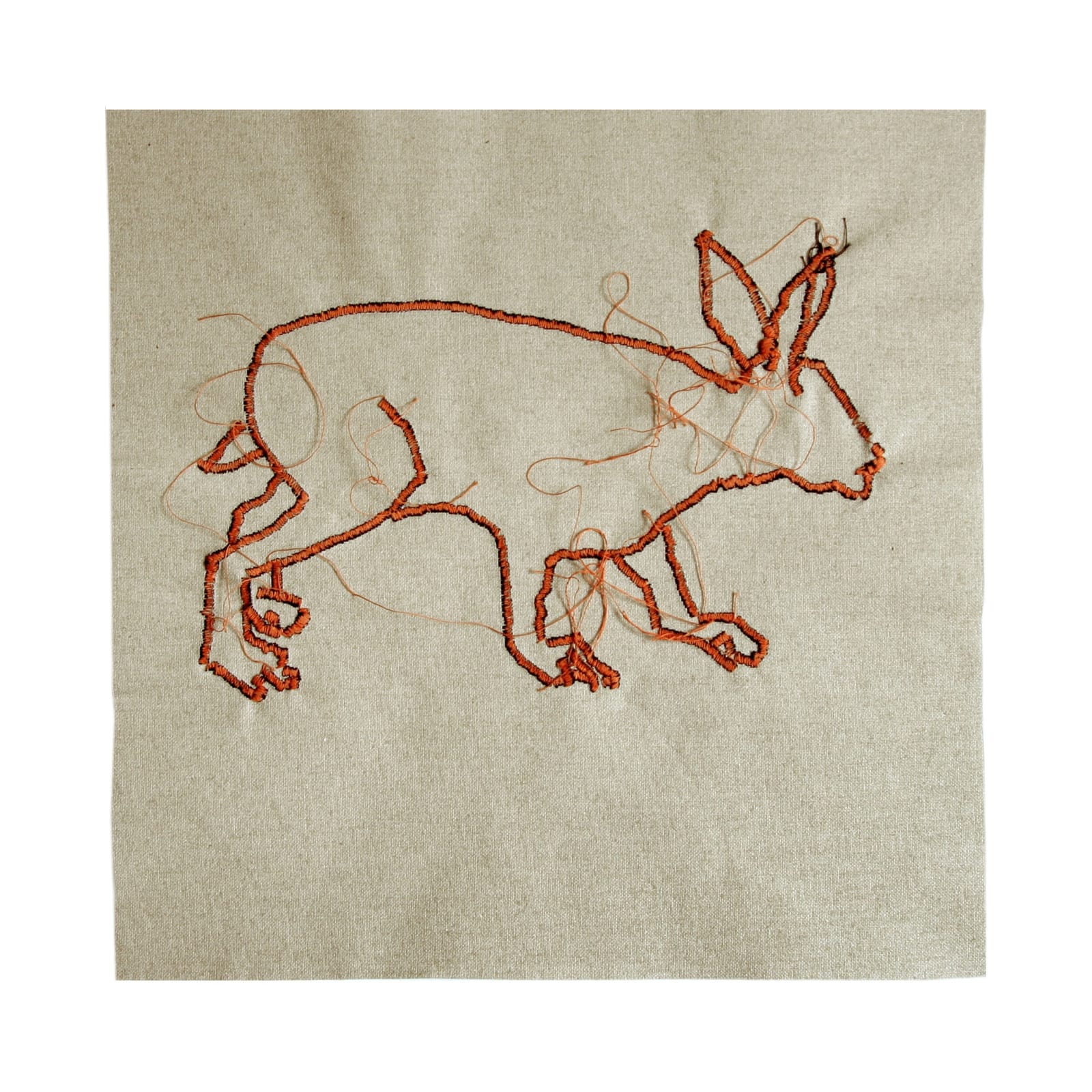 Ricominciare dagli animali (Start over from the animals)