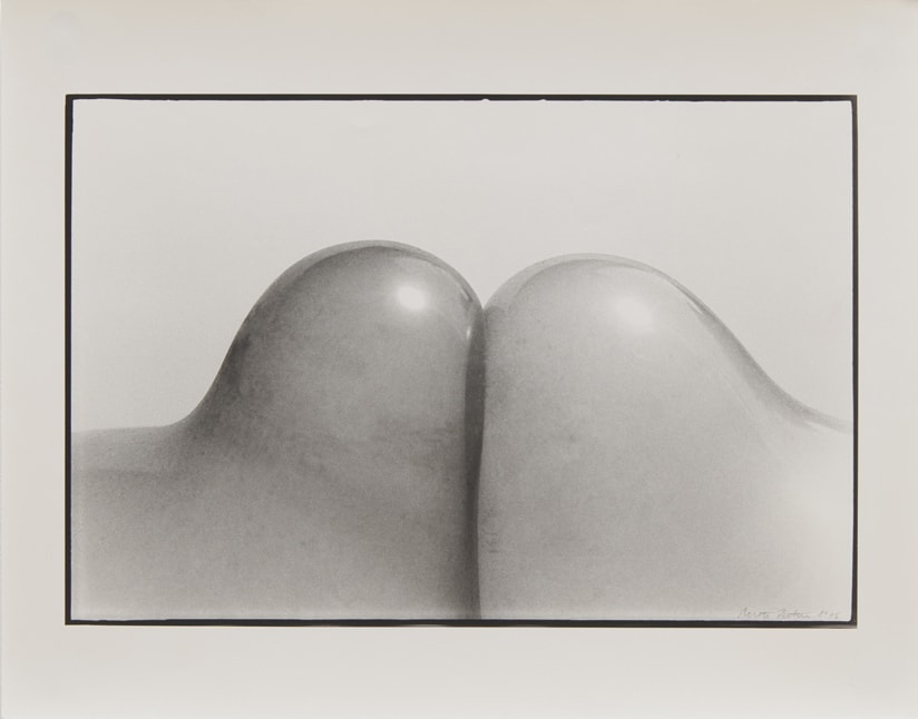Renate BERTLMANN, Zärtliche Berührungen [Tender Touches], 1976