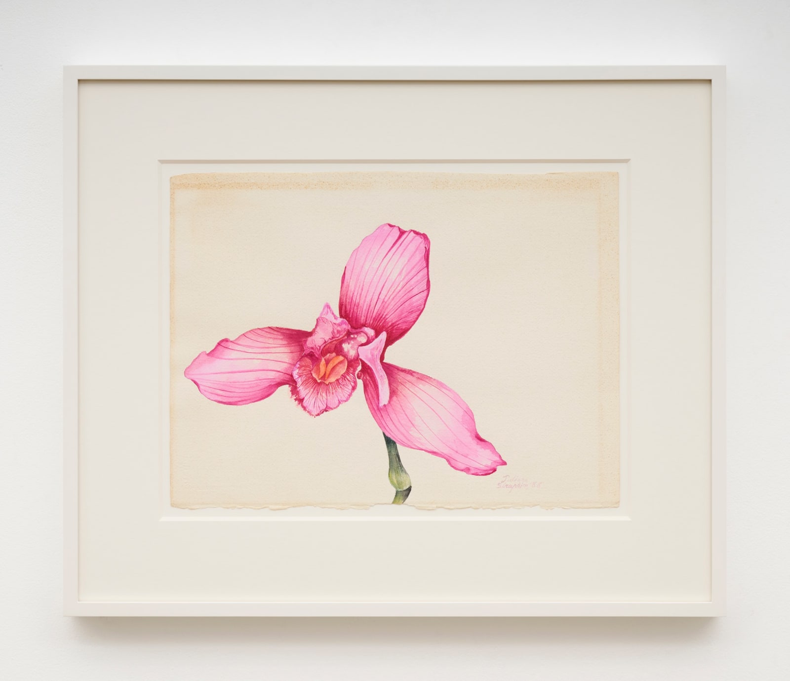 Juliana SERAPHIM, Untitled, 1988