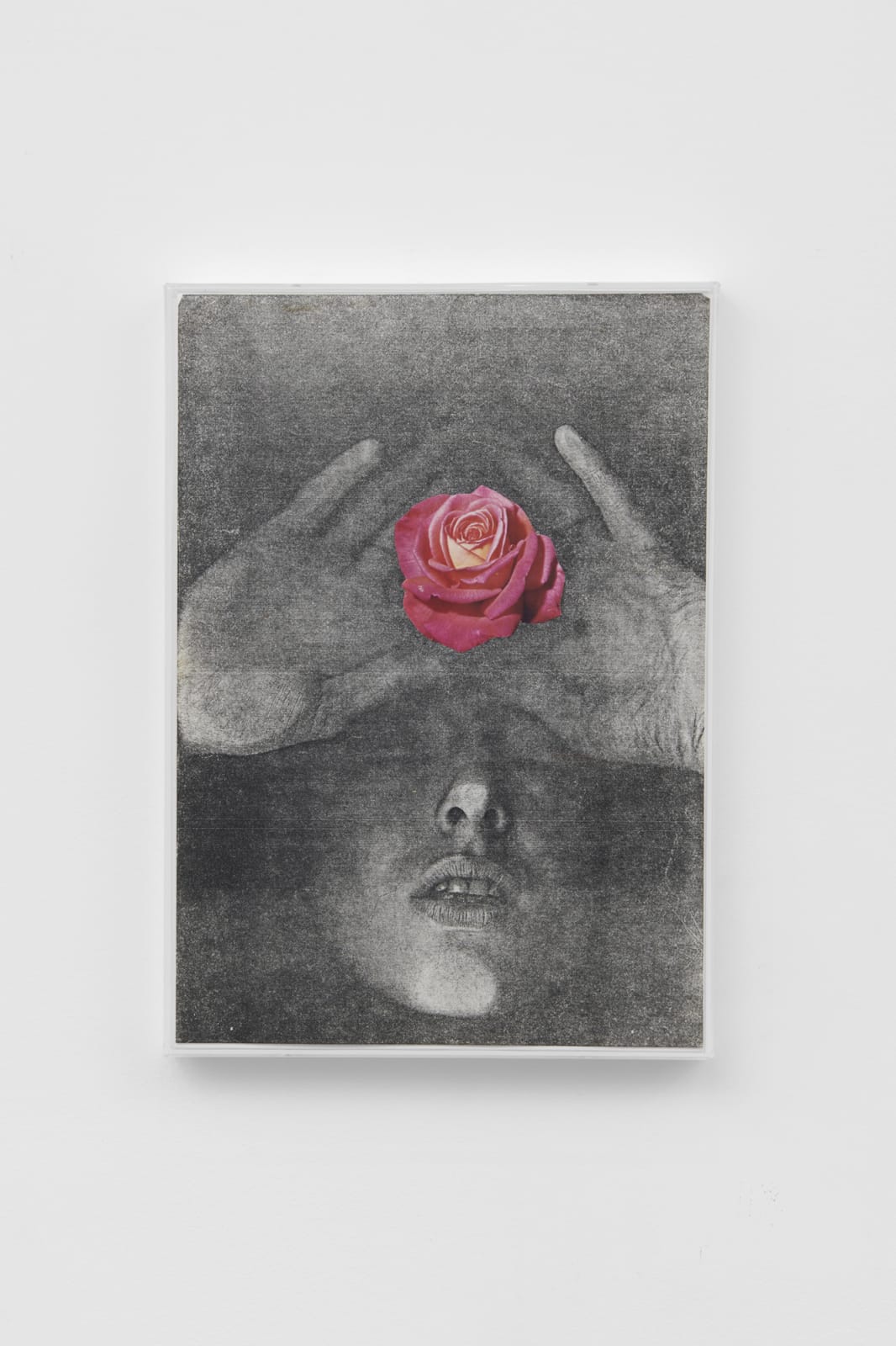 La Vie en Rose