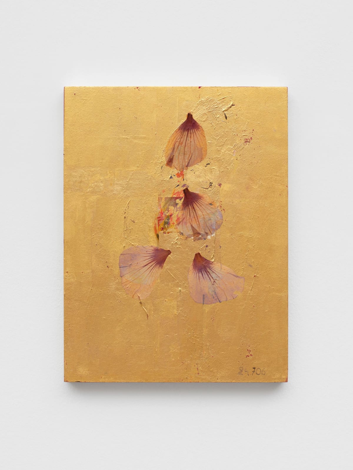 Ria VERHAEGHE, Hibiscus Syriacus 24.706, 2014/2017