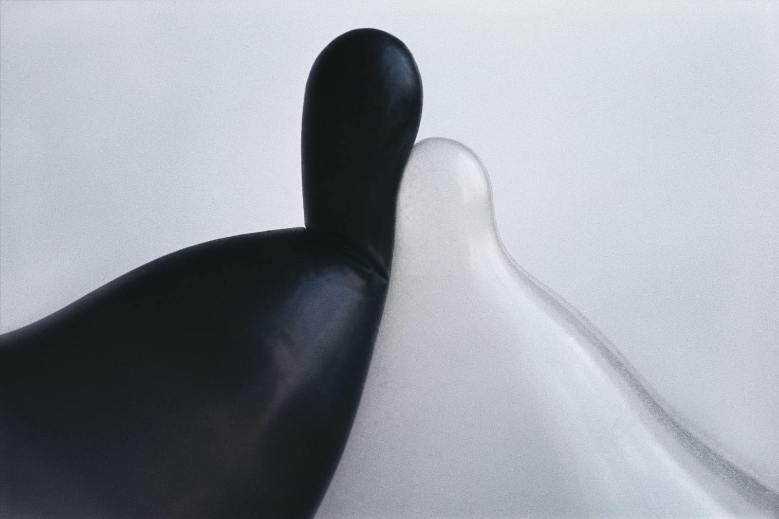 Renate BERTLMANN, Zärtliche Berührungen (Tender Touches), 1976/2017