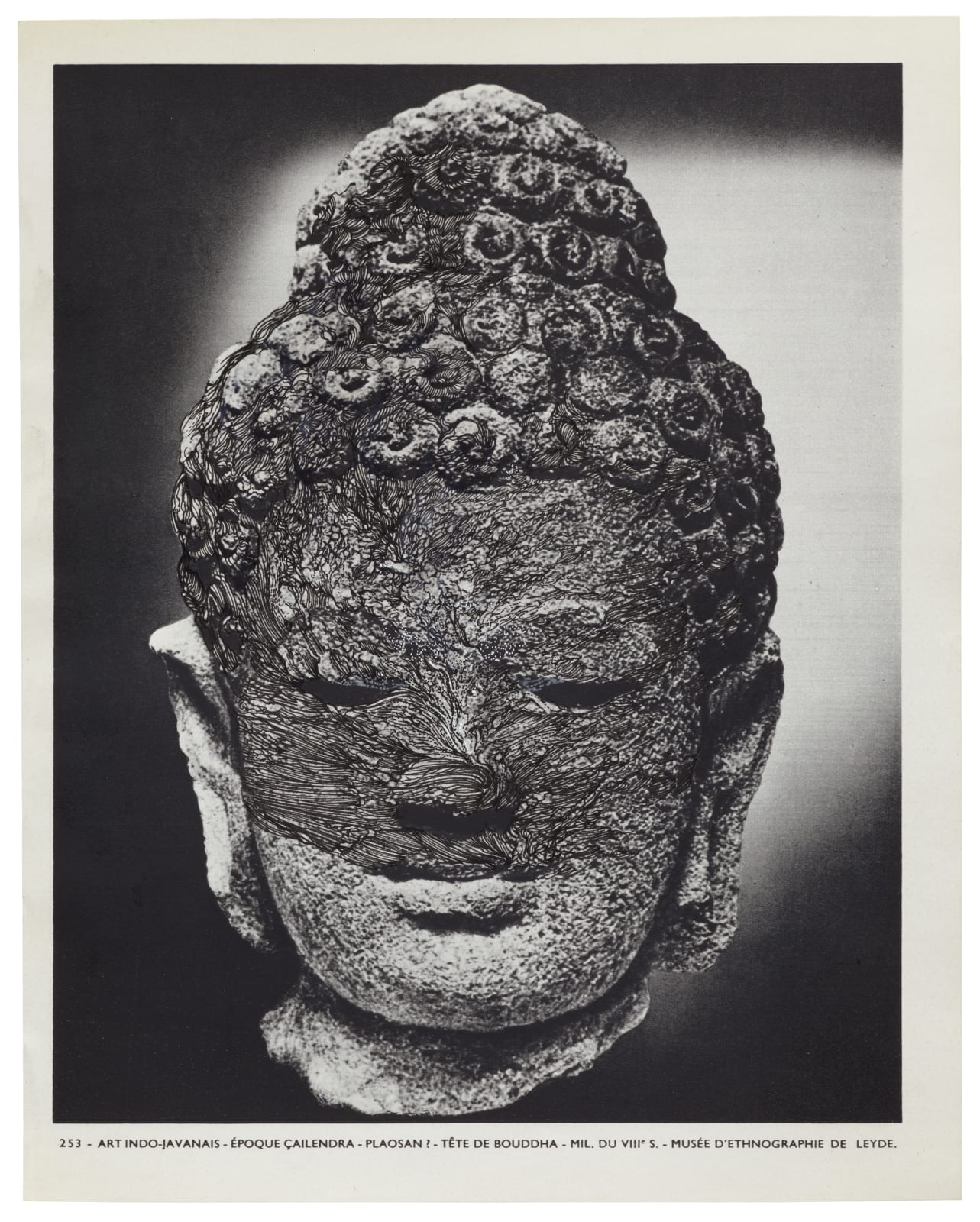 Ann-Marie JAMES, MUSÉE IMAGINAIRE, Plate 253, 2013