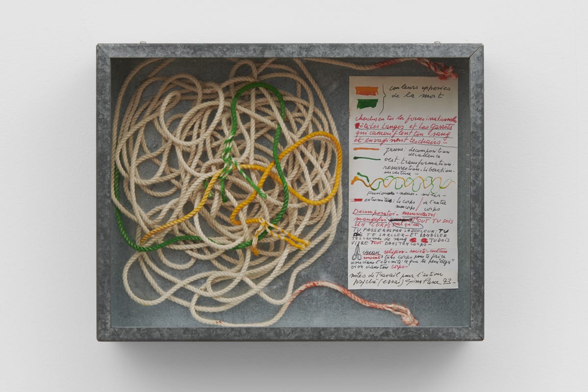 Gina PANE, Psyché, 1974