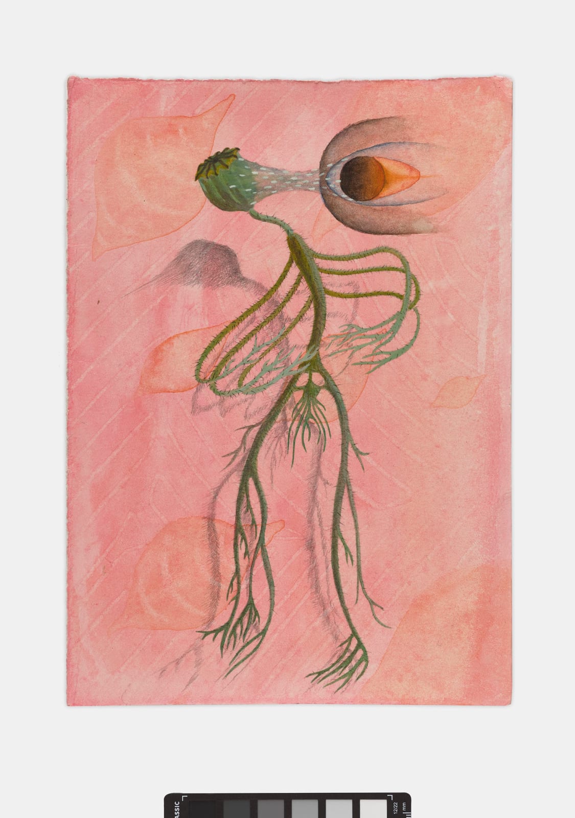 Qian Qian, Poppy, 2021