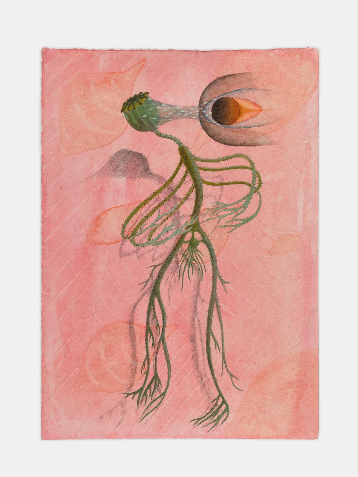 Qian Qian, Poppy, 2021