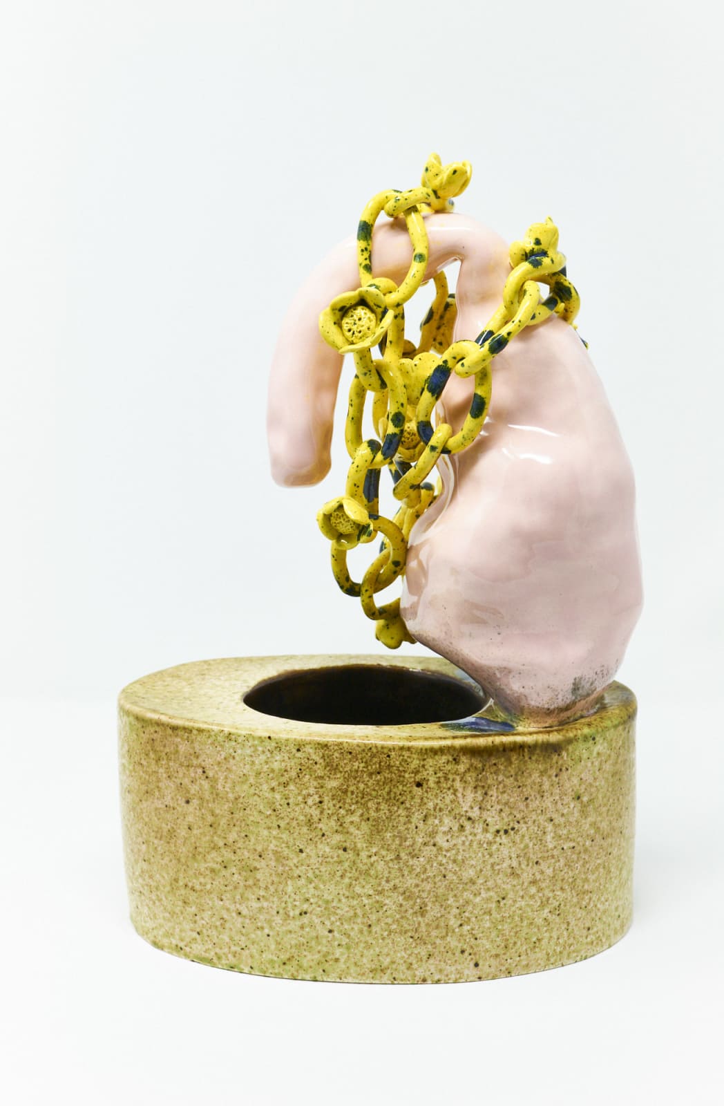 Holly STEVENSON, Narcissus, 2019