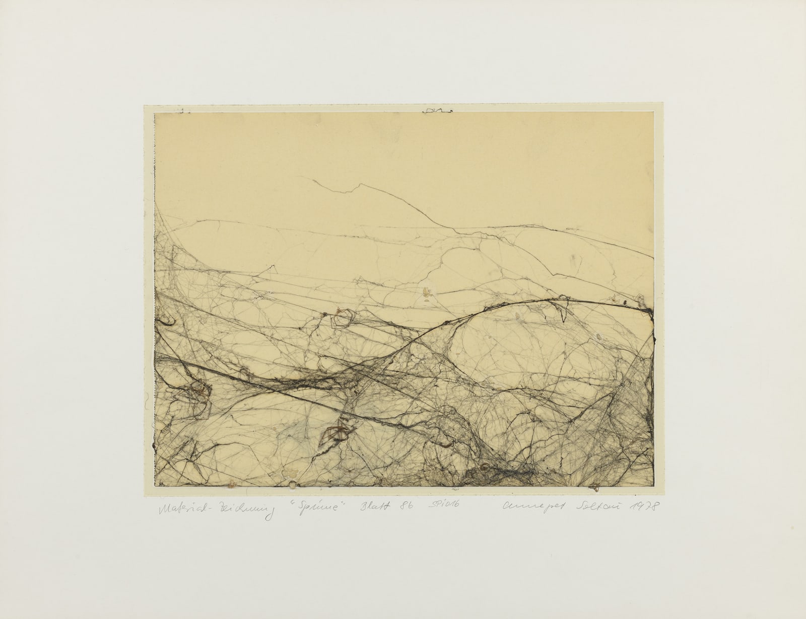 Annegret SOLTAU, Spinne (Spider), 1978