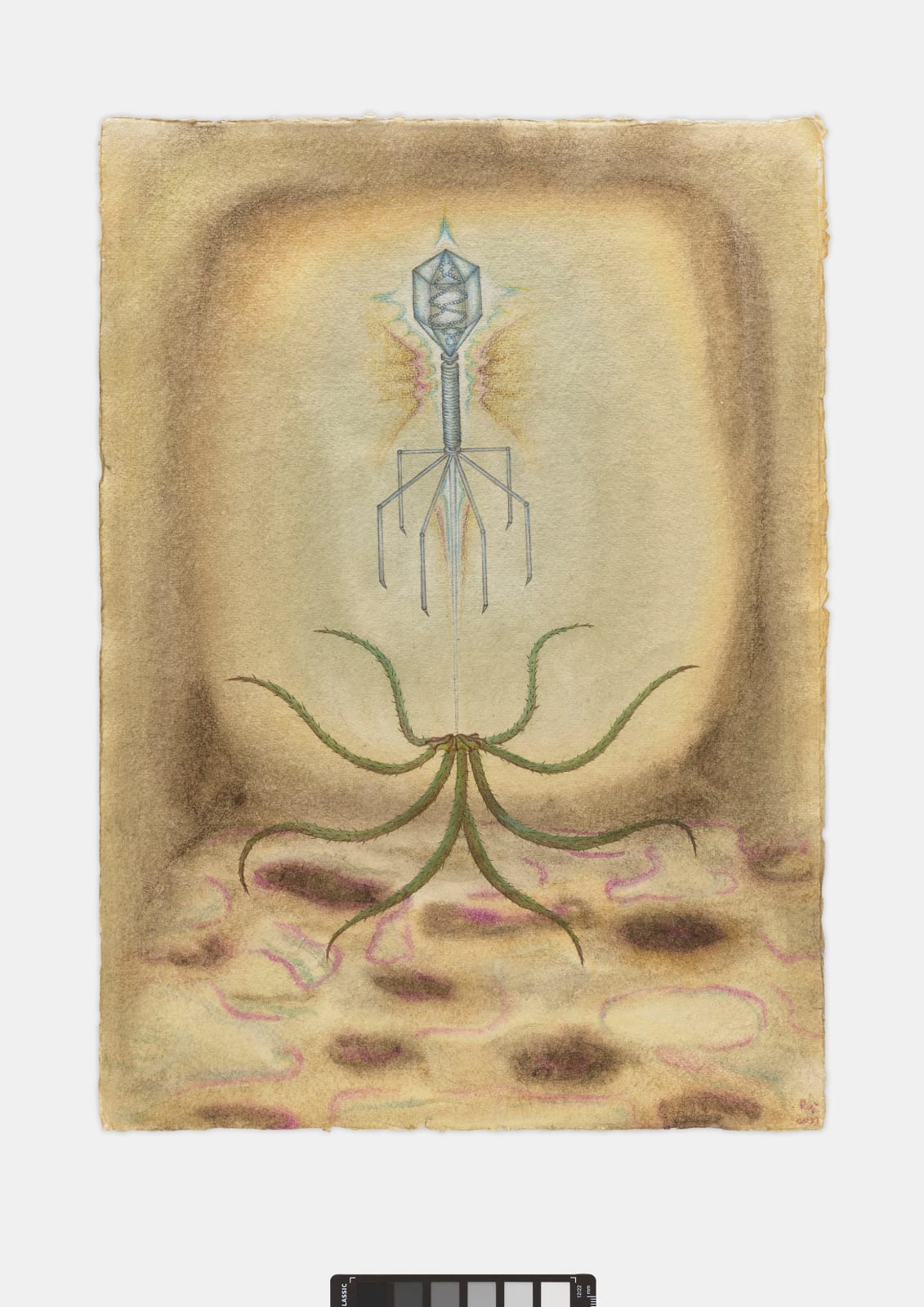 Qian Qian, Cindy in Red, 2023