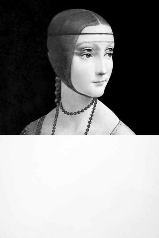 Leonardo, Dama con Ermellino (Leonardo, Lady with an Ermine)