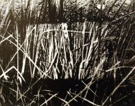 Tony MORGAN, Munich Grass, 1969
