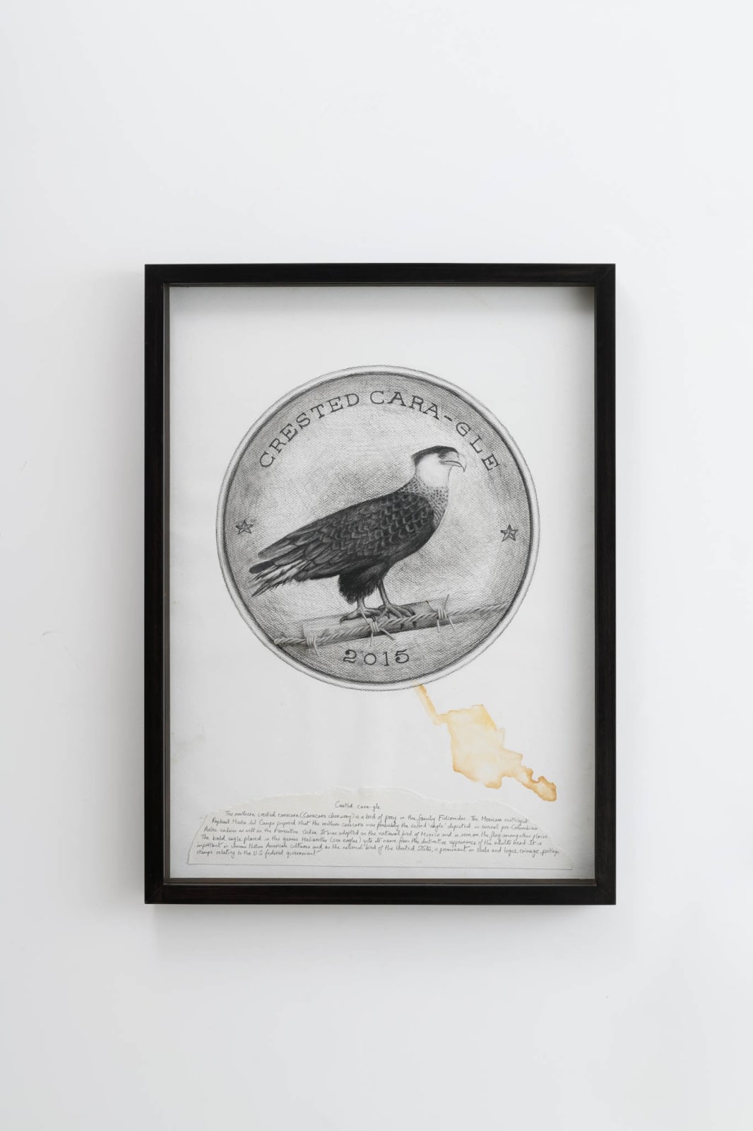 Reena Saini KALLAT, Hyphenated lives (Crested cara-gle), 2015