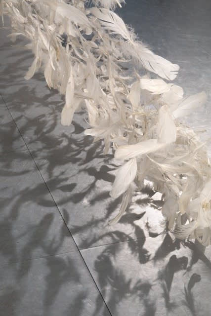 Shelagh WAKELY, a space for dreaming, 1999