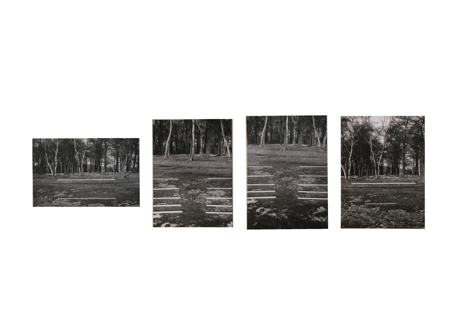 David HALL, Richmond Park series, 1967 - 68