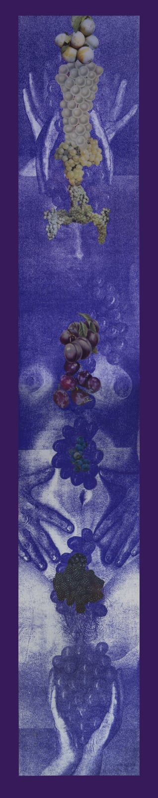 Penny SLINGER, Grapevine, 1976