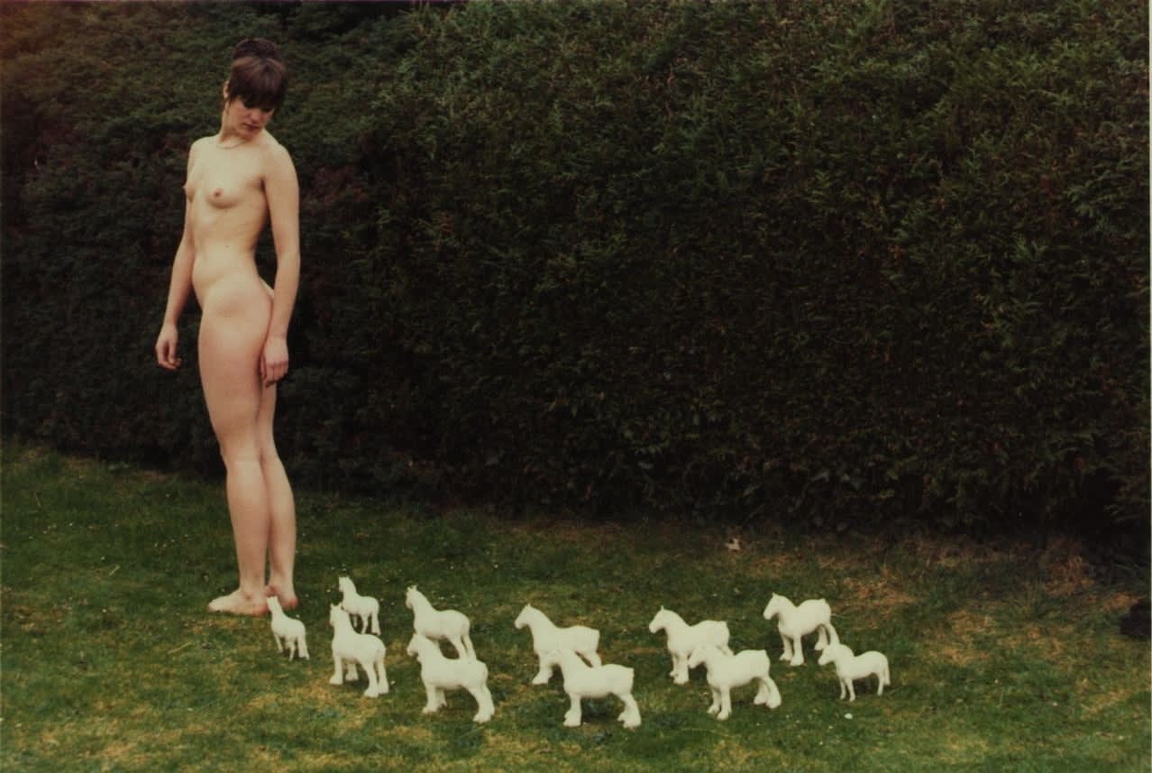 Rose ENGLISH, Untitled - Rose and Porcelain Horses, 1975/2012