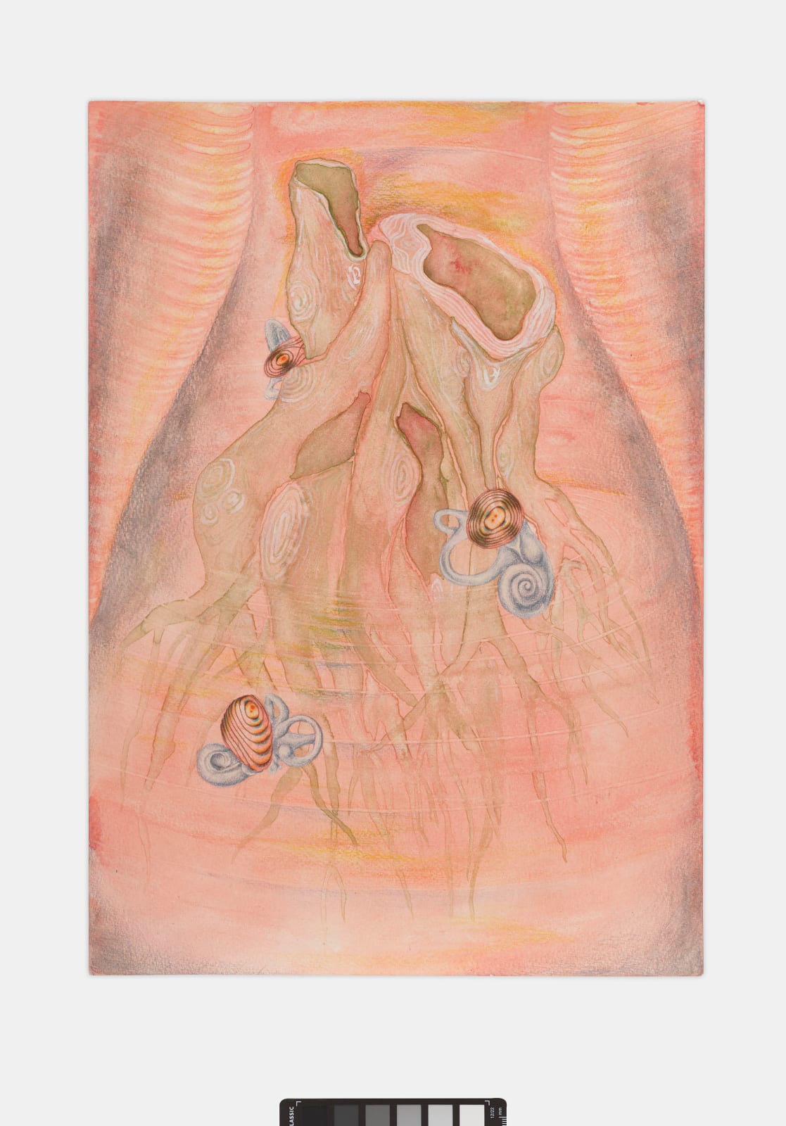 Qian Qian, Echo, 2021