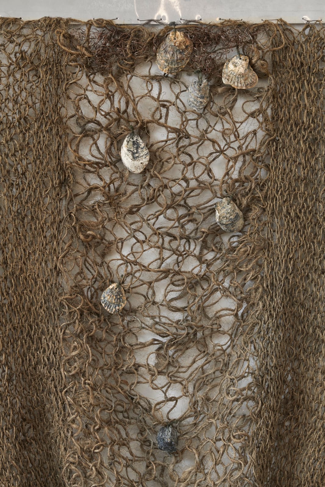 Barbara LEVITTOUX-ŚWIDERSKA, Silver Shells [Srebrne muszle], 1985